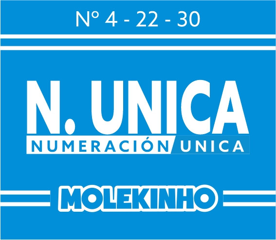 N.MOLEKINHO