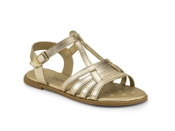 *1234033 N.BIBI-G.BI30-SINTETICO-C.ORO-ORO-T.28/37